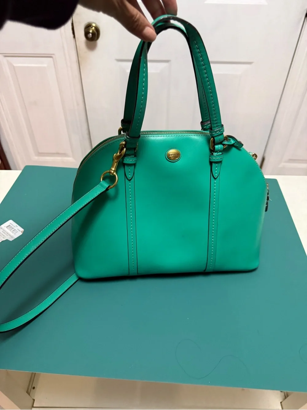 Coach Madison Leather Small Madeline Satchel (or Mini Dome Satchel) Kelly green